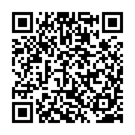 QR code for DSY995