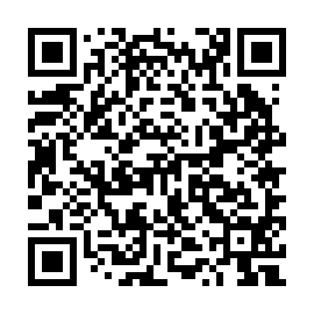 QR code for DTU294