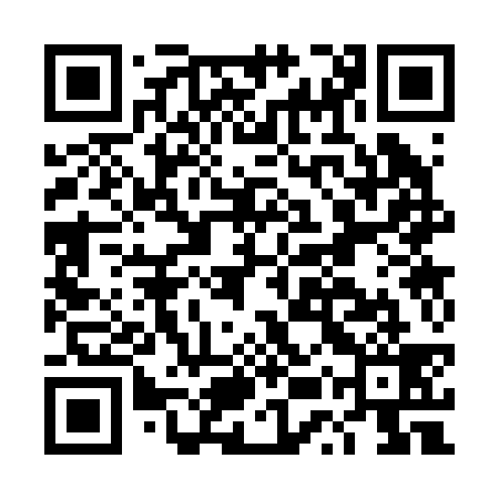 QR code for DUS239