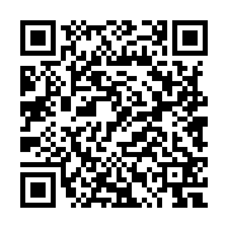 QR code for DUT9229