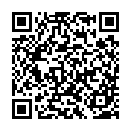 QR code for DUZ787