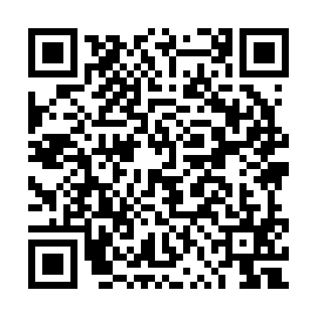 QR code for DVI2956