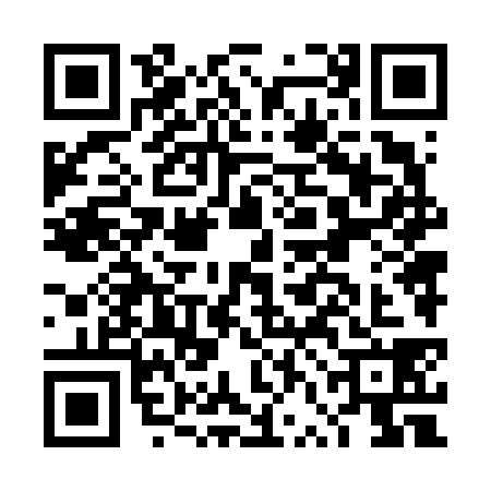 QR code for DVN6383