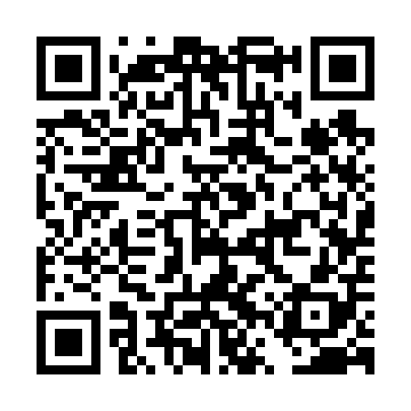 QR code for DVS608