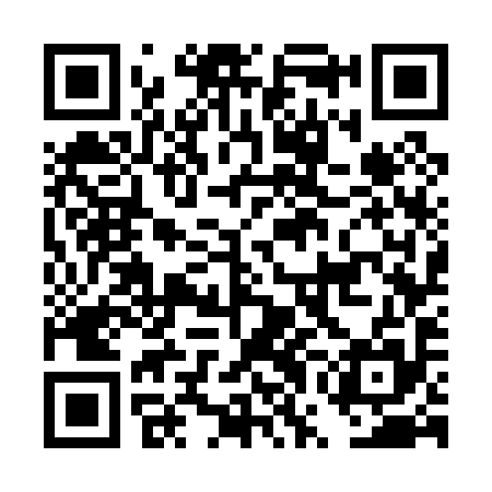 QR code for DWG095