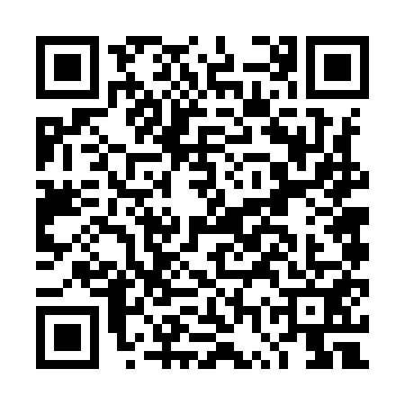 QR code for DWV9515