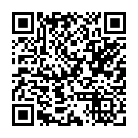 QR code for DXD233