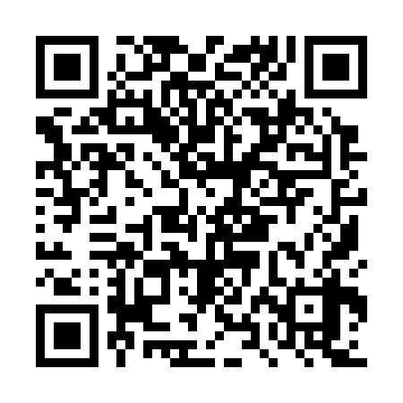 QR code for DXI338
