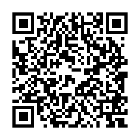 QR code for DXL2487