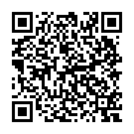 QR code for DYI611