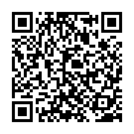 QR code for DYN959