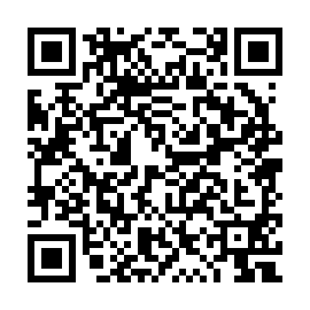 QR code for DYP2902