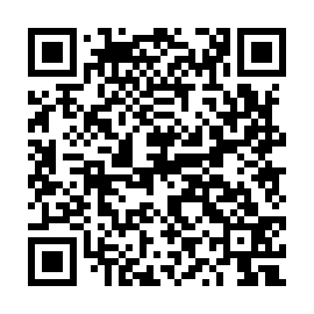 QR code for DYP933