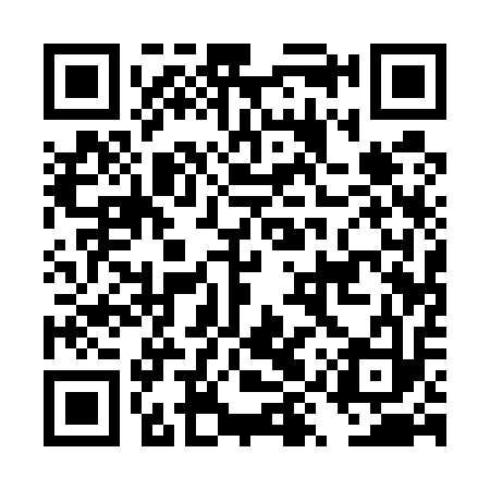 QR code for DYQ513
