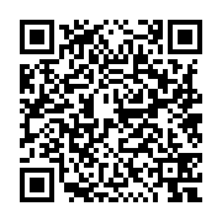 QR code for DYR9391