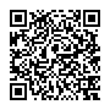 QR code for DYS4381