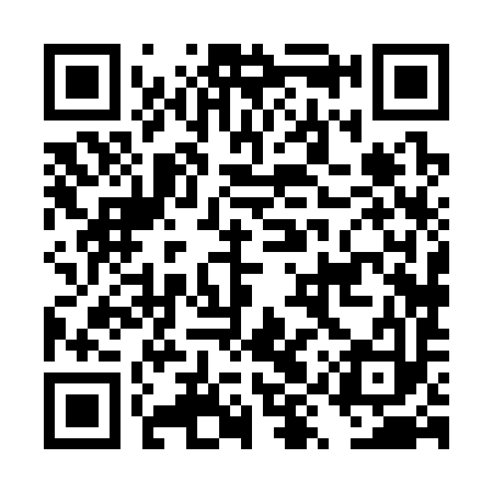 QR code for DYX393