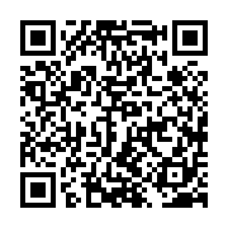 QR code for DYX810