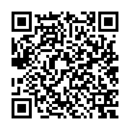 QR code for DZB1335
