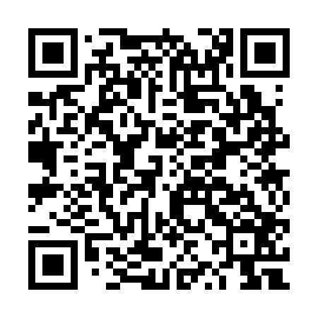 QR code for DZC306