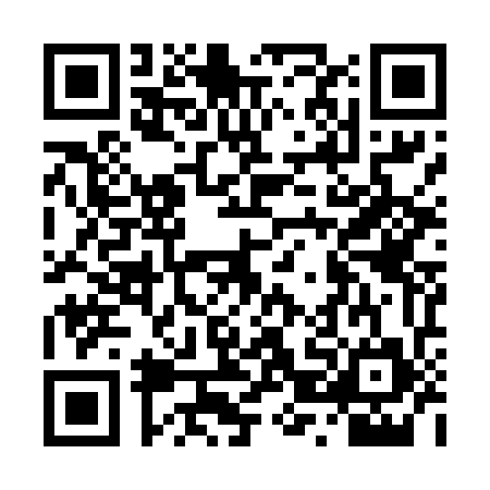 QR code for DZI4743