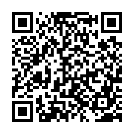 QR code for DZL766