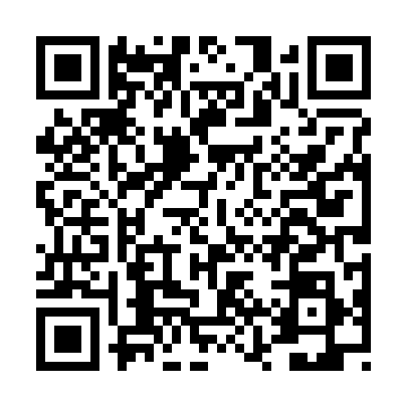 QR code for DZT2989