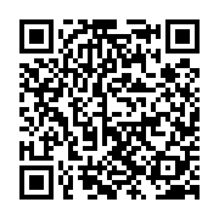 QR code for DZV509