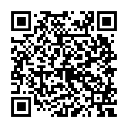 QR code for DZY681