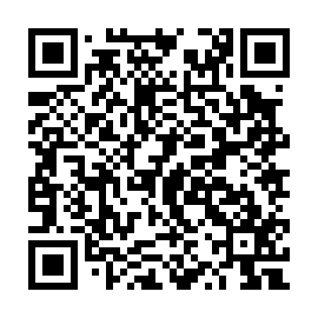 QR code for DZZ017