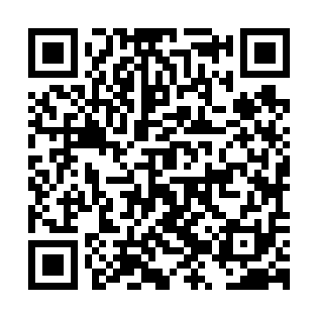 QR code for DZZ611