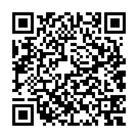 QR code for EEV6384