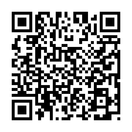 QR code for EIA4384