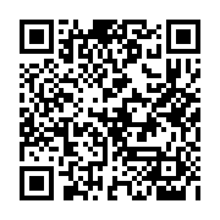QR code for EID382