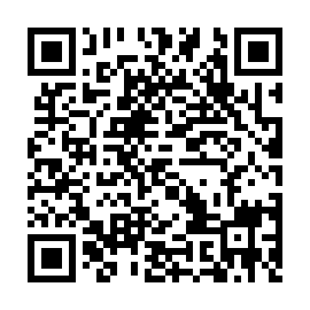 QR code for EIE319