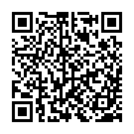 QR code for EIR383