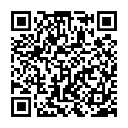 QR code for EIS533