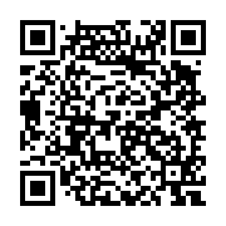 QR code for EIZ495