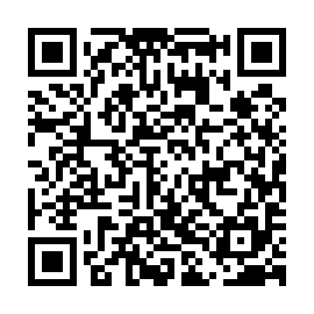 QR code for ELE595