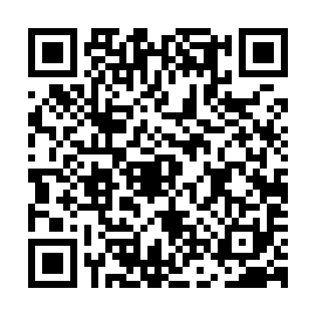 QR code for ENT9911