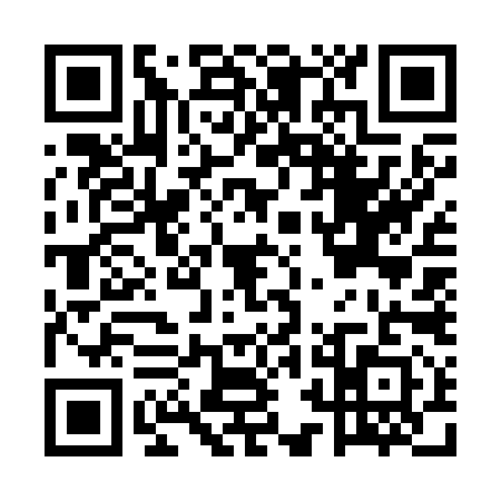 QR code for ERG2911