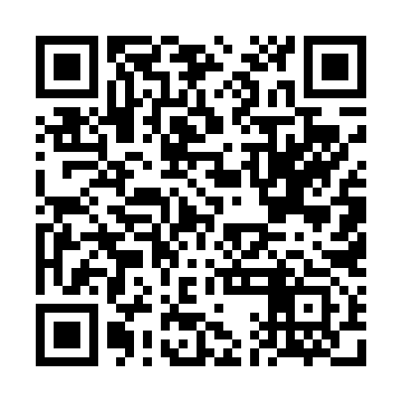 QR code for FAE493