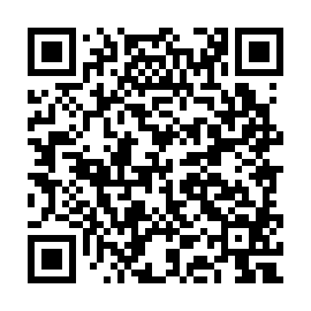 QR code for FAX384