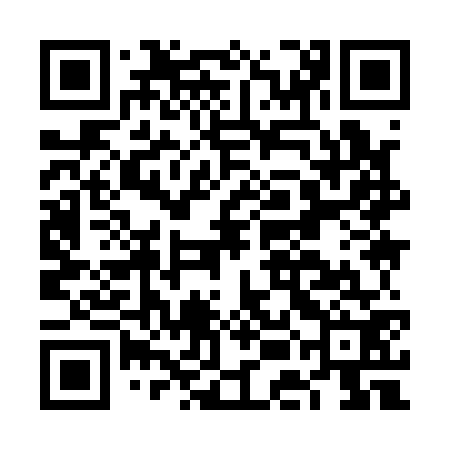 QR code for FEI172