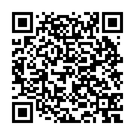 QR code for FEO234