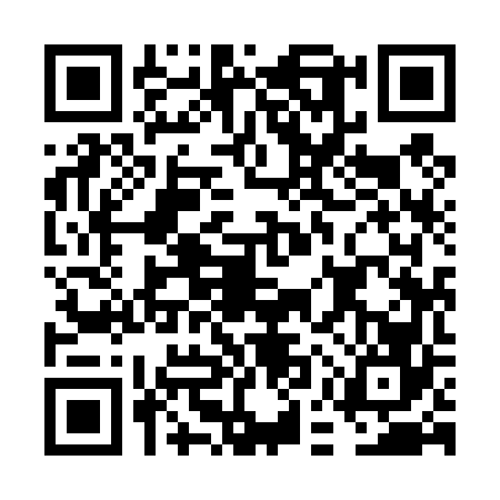 QR code for FEY4667