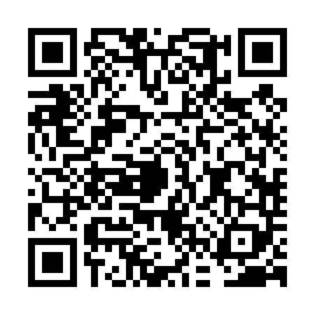 QR code for FFR4493