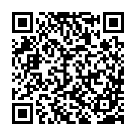 QR code for FFX387