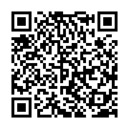 QR code for FFX939