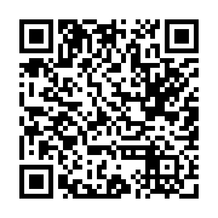 QR code for FIE971